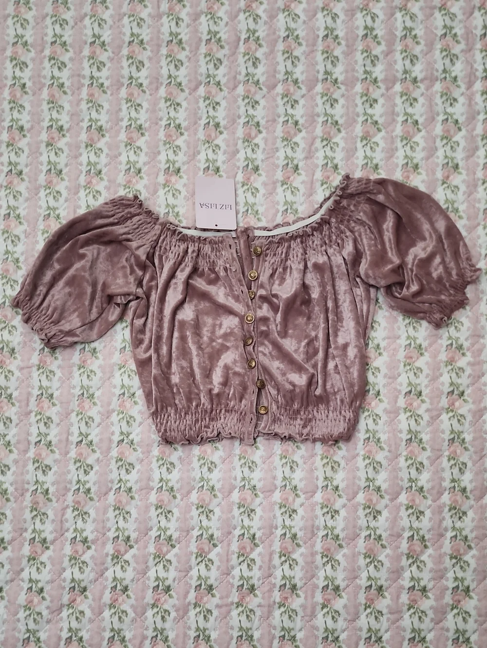 NWT LIZ LISA 🎀 Mauve Velvet Off-Shoulder Crop Top Front Button Open